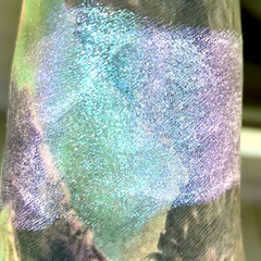 Princess Bride Eyeshadow Swatch Video